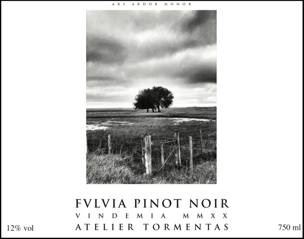 FULVIA PINOT NOIR 2020