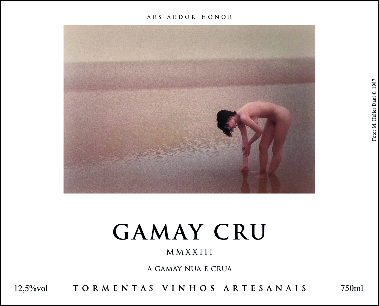 GAMAY CRU 2023