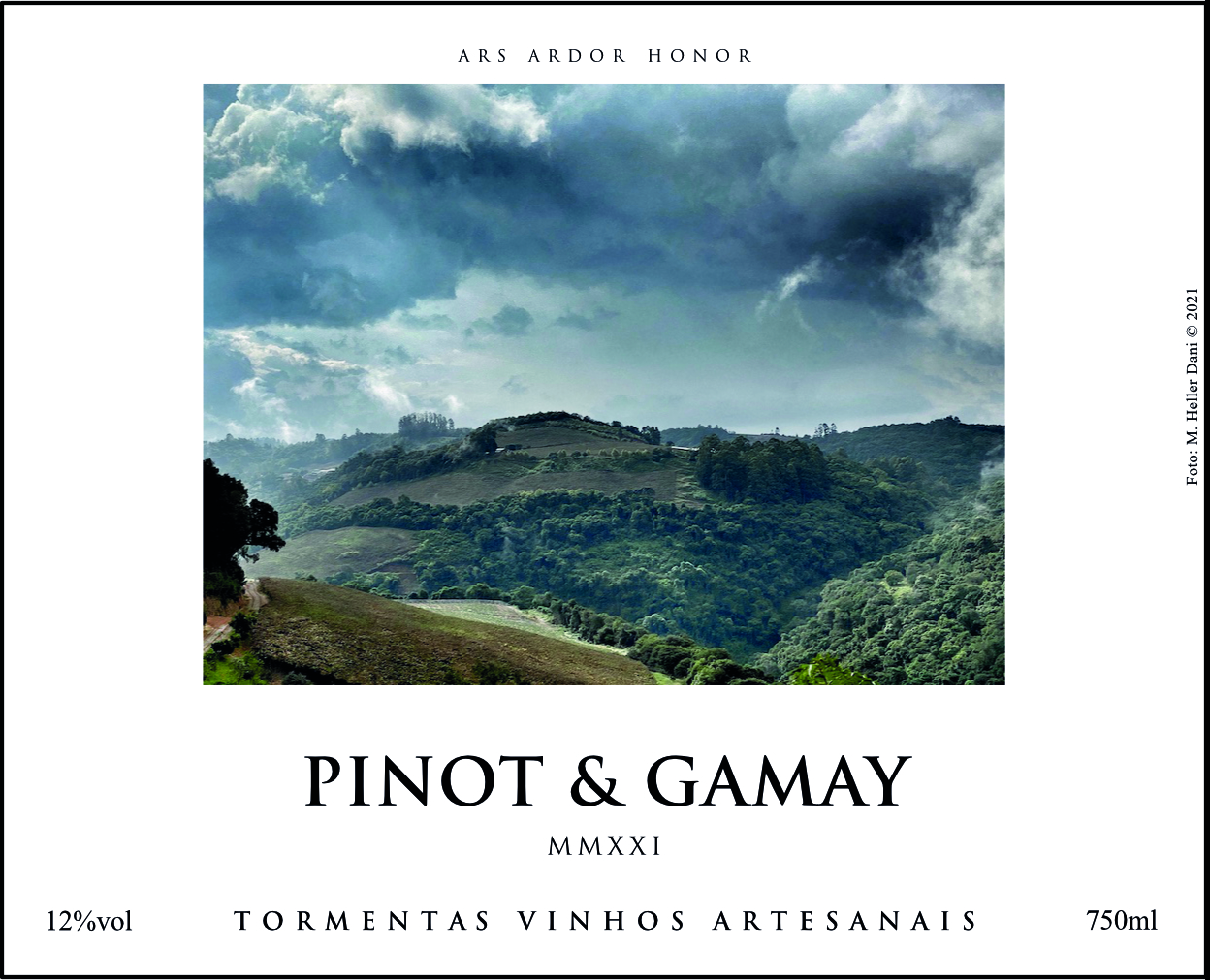 PINOT & GAMAY 2021